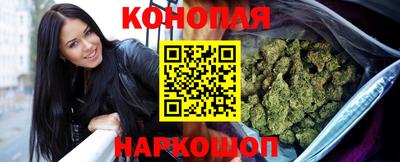 Альфа ПВП Бийск