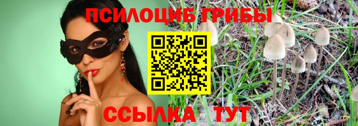 Псилоцибиновые грибы MAGIC MUSHROOMS  Вход с VPN  Когалым 